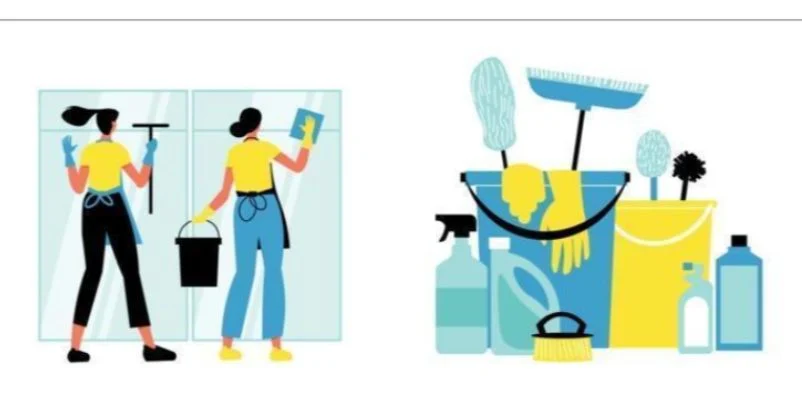 What to Expect During Your First Cleaning Appointment in New Zealand?